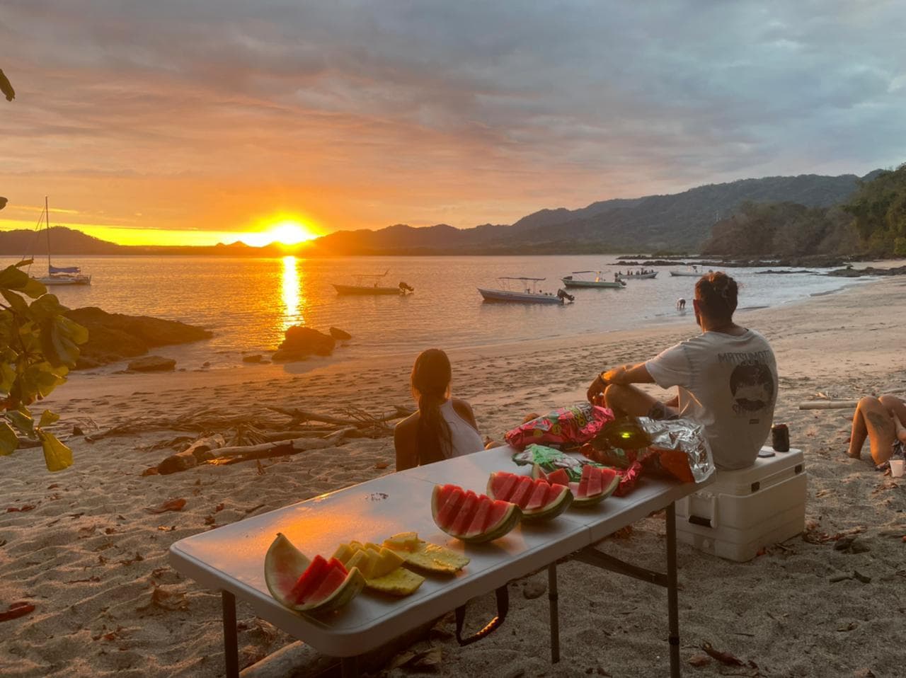 Bioluminescence Tour