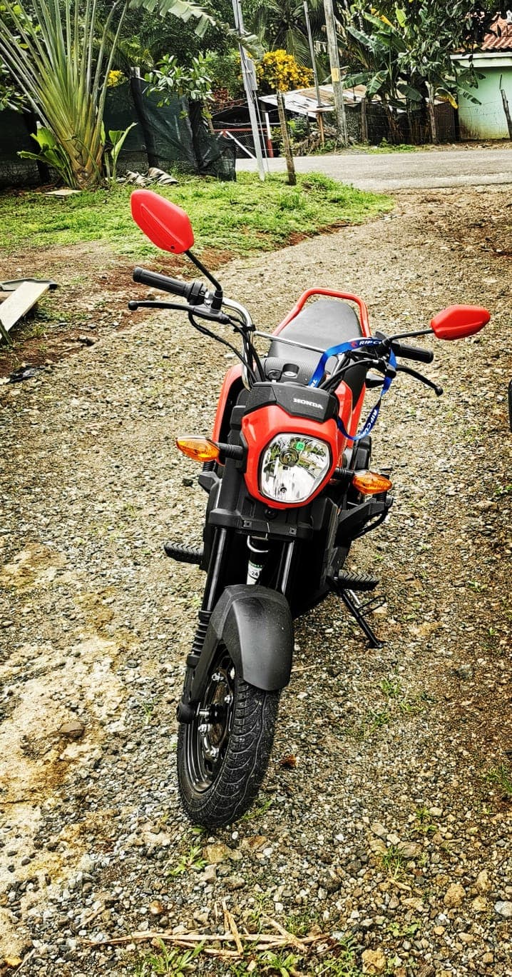 Honda Navi Rental